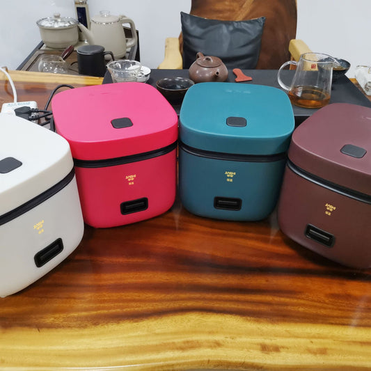Mini rice cooker (1-2 people )