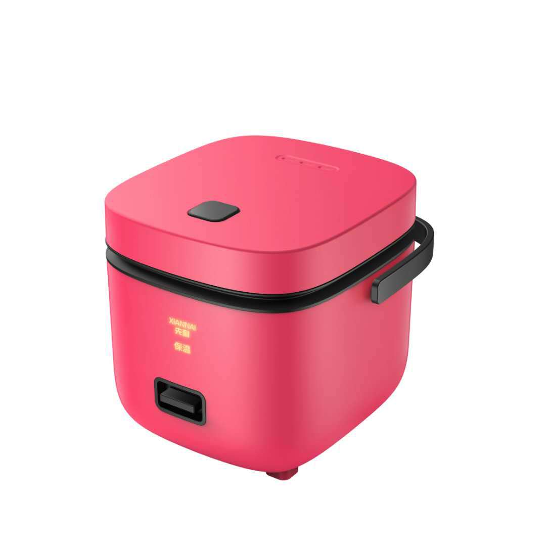 Mini rice cooker (1-2 people )