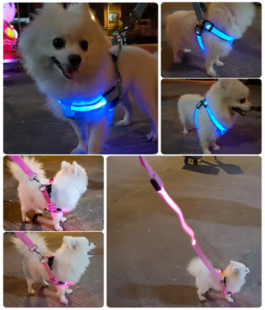 LED Dog Harness Leash Rope Belt