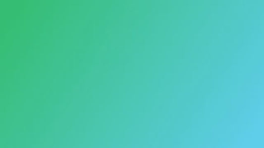 Wireless LCD Audio Video Baby Monitor