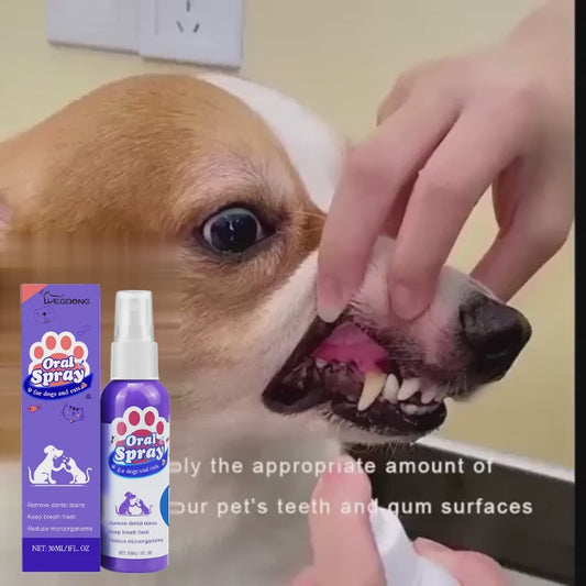 New Pet mouth freshening and sterilizing spray