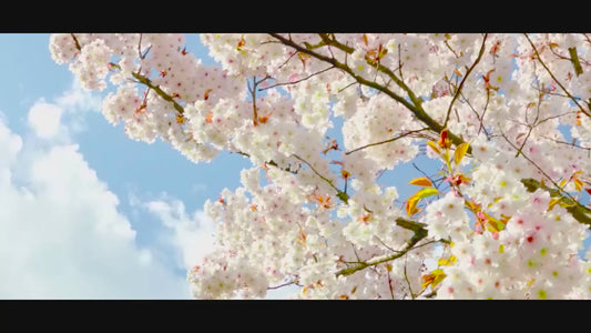 Folding drone LS-MIN aerial photography 4K HD pixel remote control aircraft fixed-height quadcopter