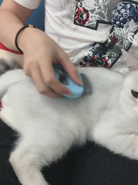 New cat ear shell combs Hair Remover Brush