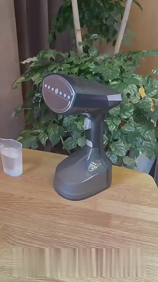 Popular High-power Home Appliance Handheld Garment Steaming Iron